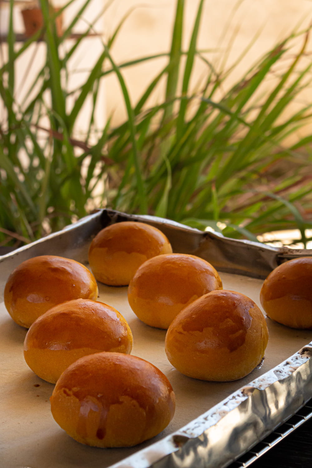 fornada de pães de abóbora