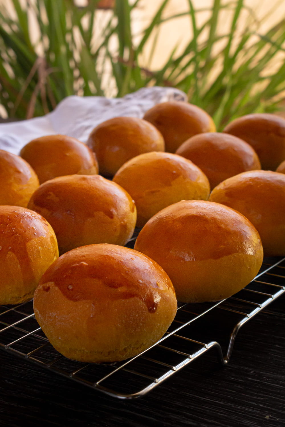 pão de abóbora sobre grade