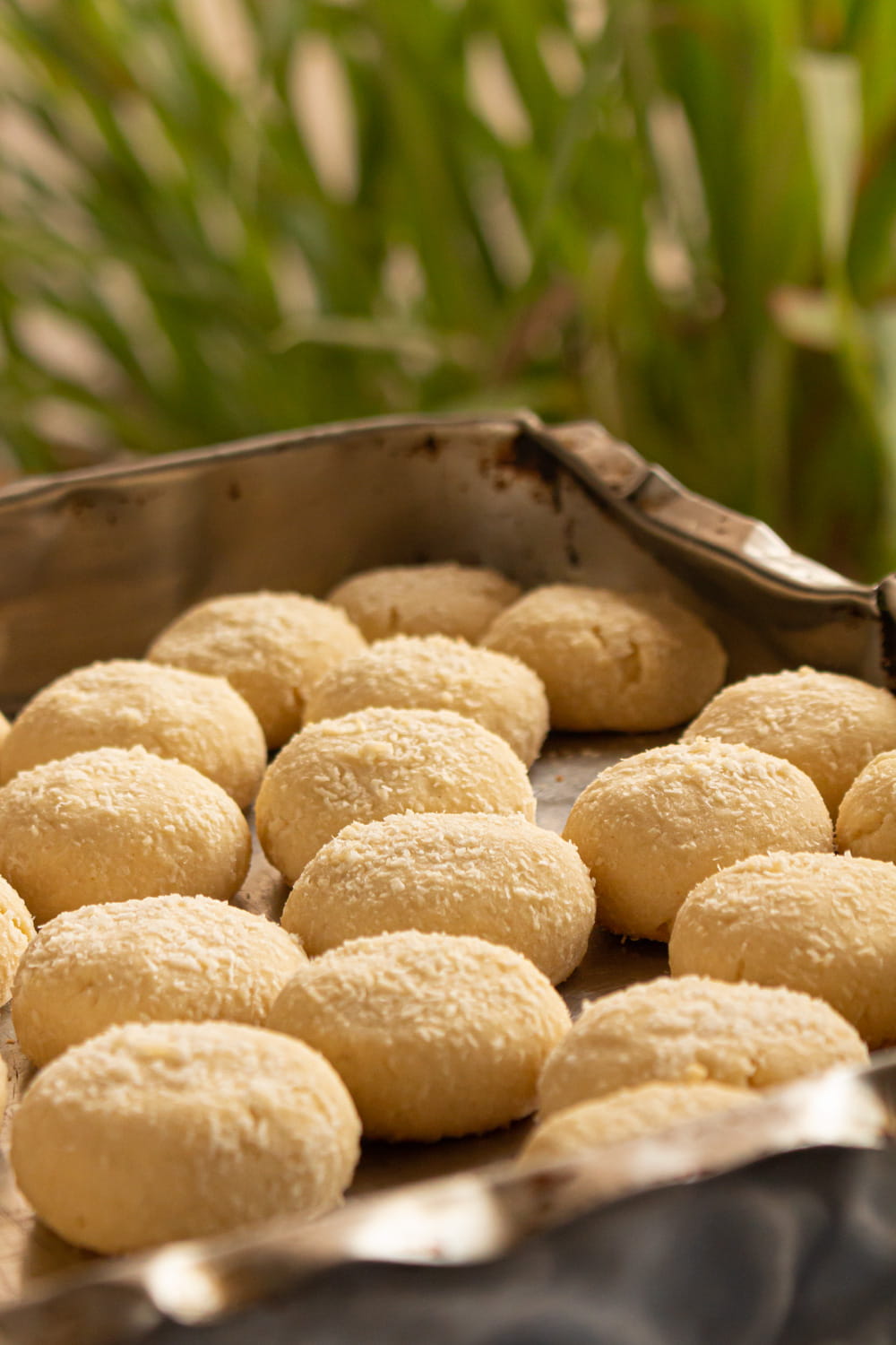 tabuleiro cheio de amanteigados de coco