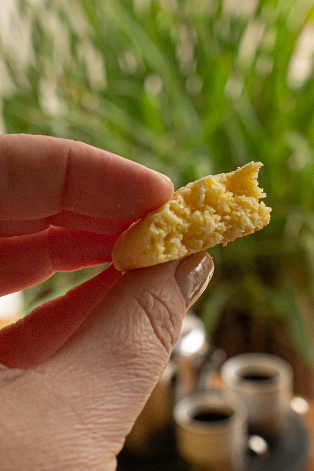 close do pedaço mostrando a textura interna