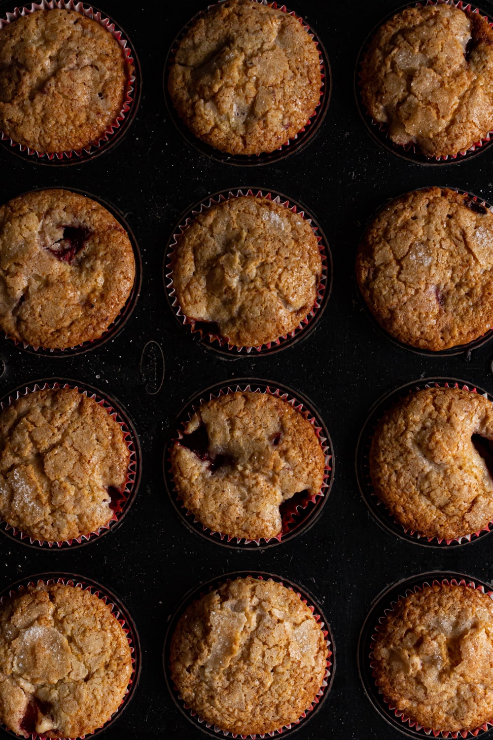 Muffin de amora: Jornal do Campo ensina como fazer bolinho delicioso, Goiás