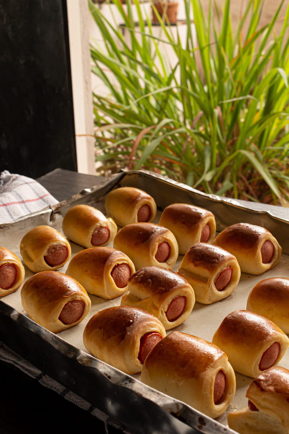 fornada de enroladinhos de salsicha