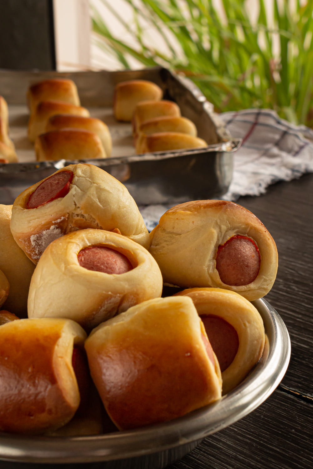 close-up do enroladinho