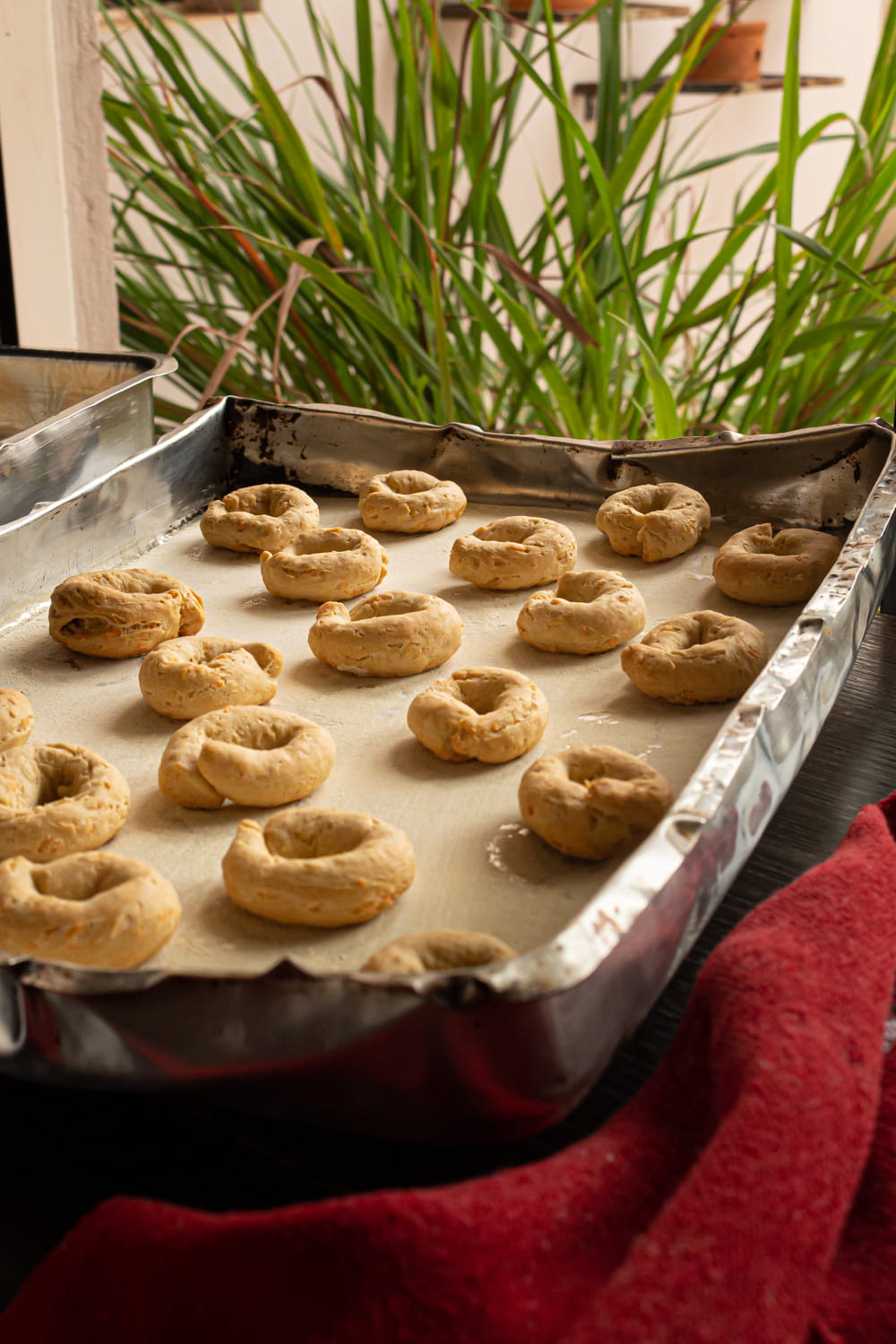 tabuleiro cheio de rosquinhas de queijo