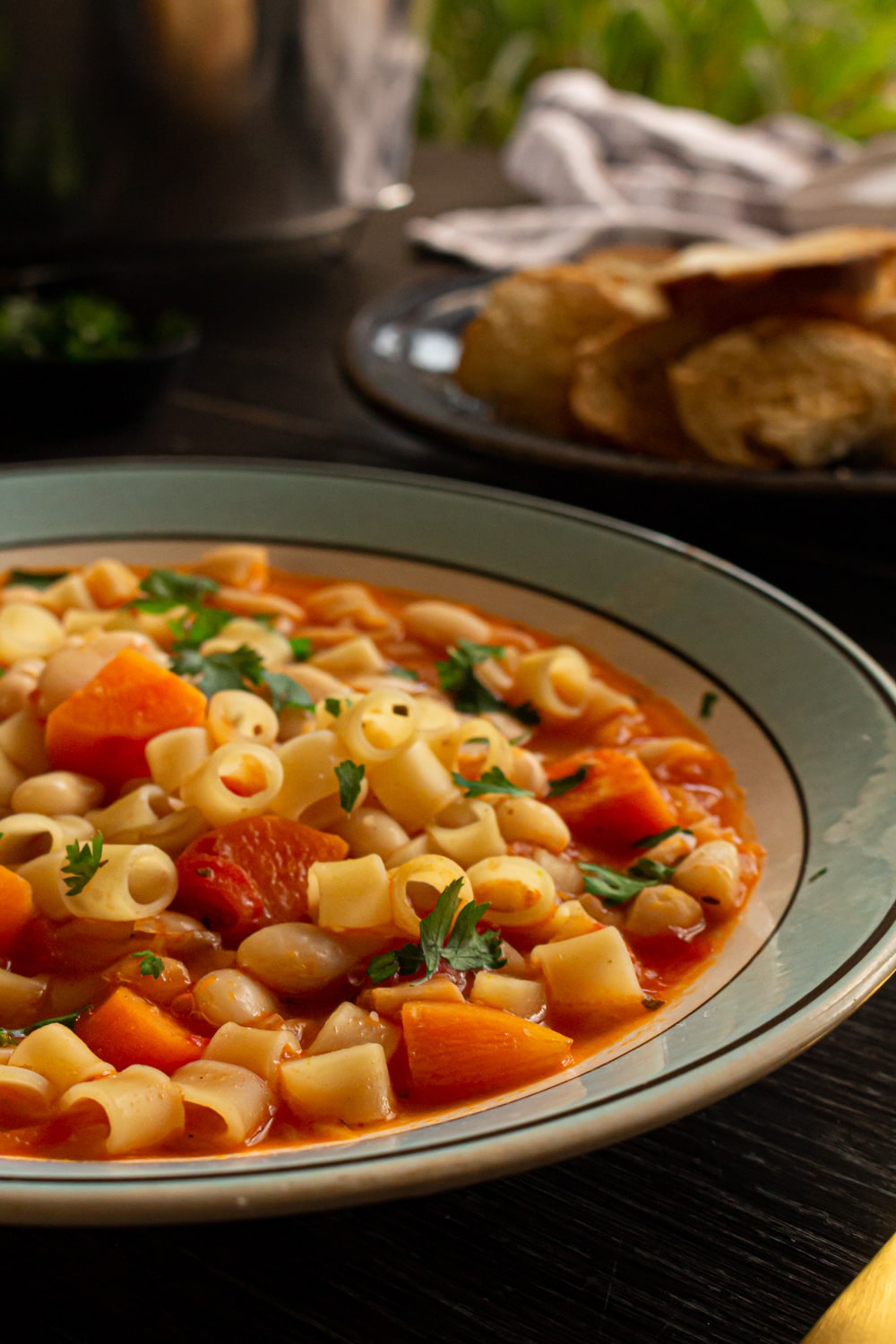 close do prato mostrando os pedaços de cenoura e de salsinha