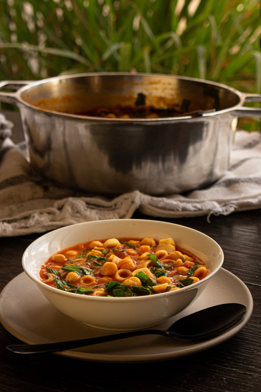 foto da tigela com a sopa de grão de bico com macarrão e couve